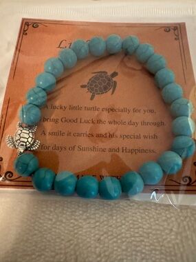 Turquoise Beaded Turtle Charm Stretch Bracelet